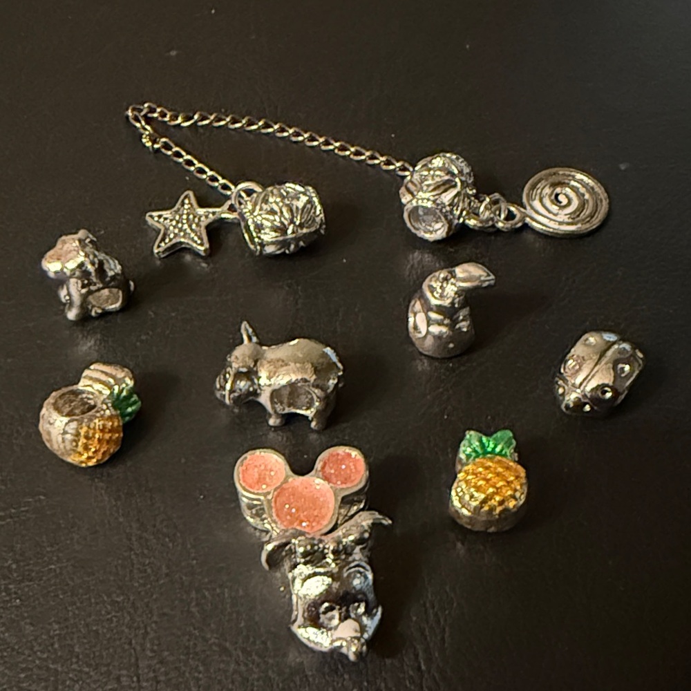Silver and Gold Costume Charm Set